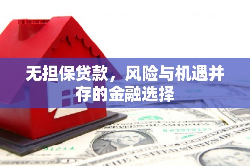 洪梅无担保贷款，风险与机遇并存的金融选择