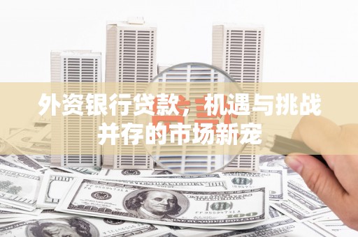 洪梅外资银行贷款，机遇与挑战并存的市场新宠