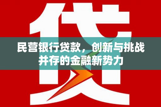 洪梅民营银行贷款，创新与挑战并存的金融新势力