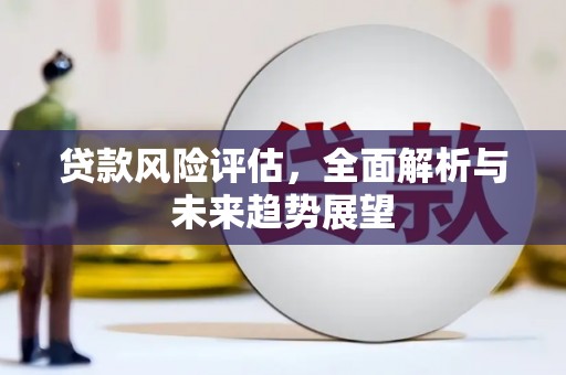 洪梅贷款风险评估，全面解析与未来趋势展望