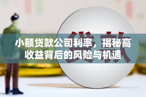 洪梅小额贷款公司利率，揭秘高收益背后的风险与机遇
