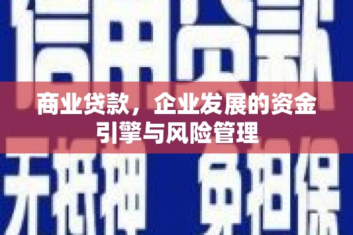 洪梅商业贷款，企业发展的资金引擎与风险管理