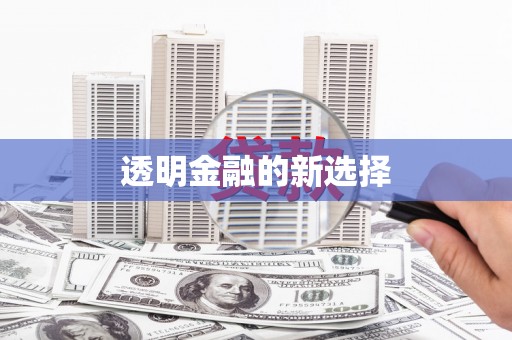 洪梅透明金融的新选择