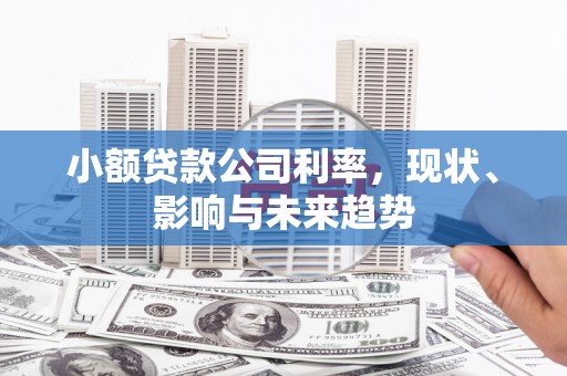 洪梅小额贷款公司利率，现状、影响与未来趋势