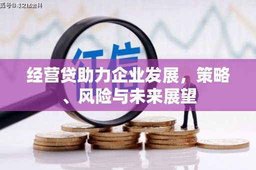 洪梅经营贷助力企业发展，策略、风险与未来展望