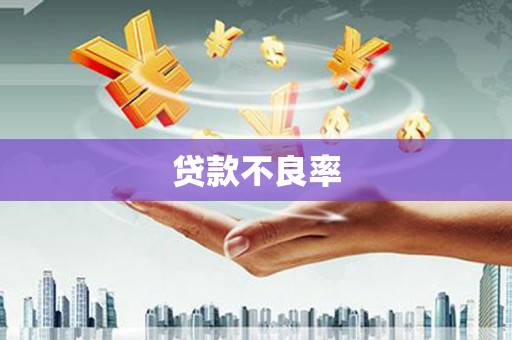 洪梅贷款不良率
