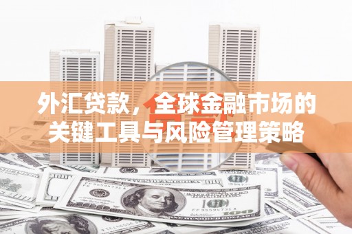 洪梅外汇贷款，全球金融市场的关键工具与风险管理策略