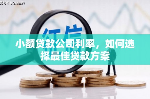 洪梅小额贷款公司利率，如何选择最佳贷款方案
