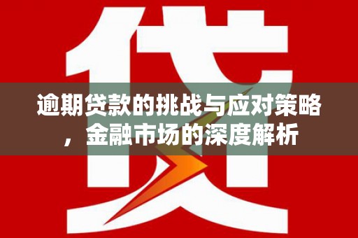 洪梅逾期贷款的挑战与应对策略，金融市场的深度解析