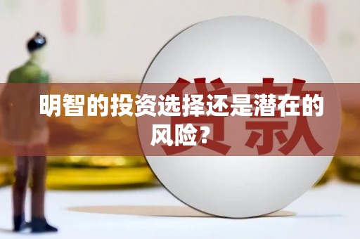 洪梅明智的投资选择还是潜在的风险？