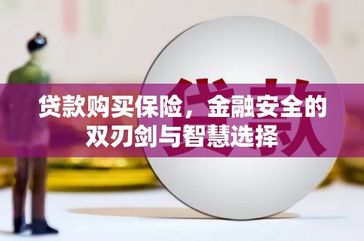 洪梅贷款购买保险，金融安全的双刃剑与智慧选择