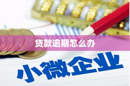 洪梅贷款逾期怎么办