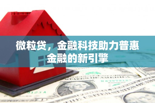 洪梅微粒贷，金融科技助力普惠金融的新引擎