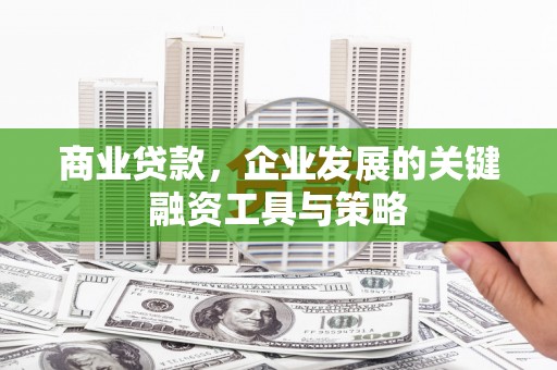 洪梅商业贷款，企业发展的关键融资工具与策略