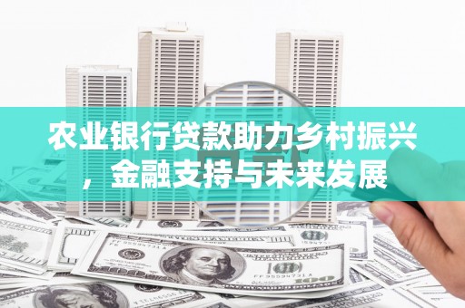 洪梅农业银行贷款助力乡村振兴，金融支持与未来发展