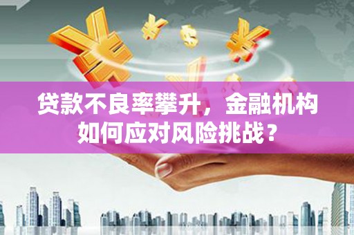 洪梅贷款不良率攀升，金融机构如何应对风险挑战？