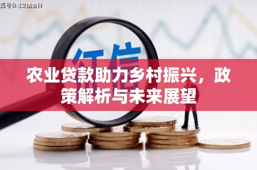 洪梅农业贷款助力乡村振兴，政策解析与未来展望