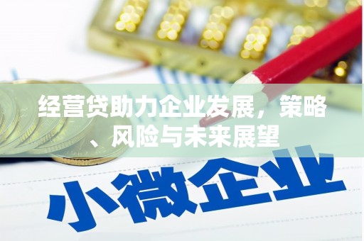 洪梅经营贷助力企业发展，策略、风险与未来展望
