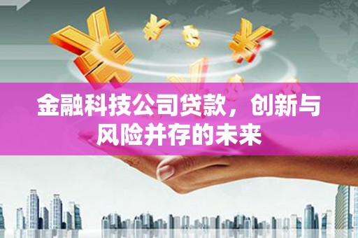 洪梅金融科技公司贷款，创新与风险并存的未来