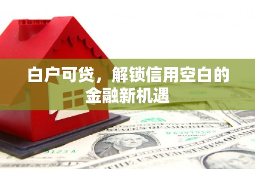 洪梅白户可贷，解锁信用空白的金融新机遇