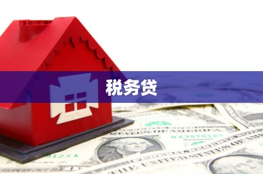 洪梅税务贷