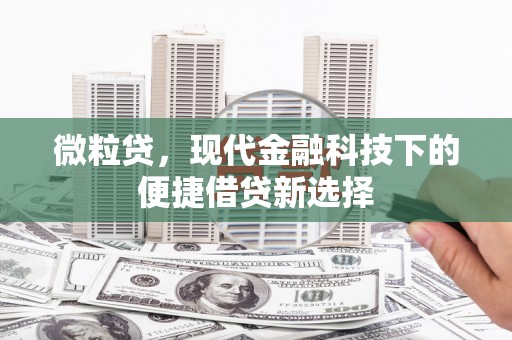 洪梅微粒贷，现代金融科技下的便捷借贷新选择