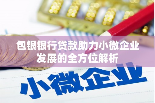 洪梅包银银行贷款助力小微企业发展的全方位解析
