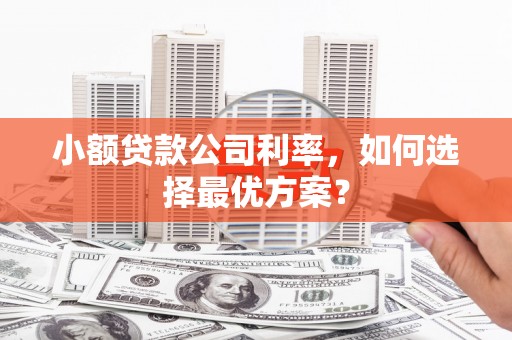 洪梅小额贷款公司利率，如何选择最优方案？