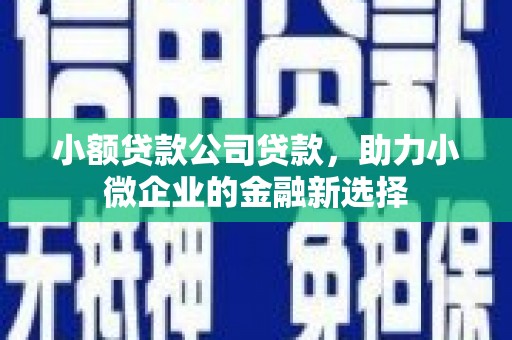 洪梅小额贷款公司贷款，助力小微企业的金融新选择