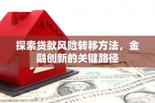 洪梅探索贷款风险转移方法，金融创新的关键路径
