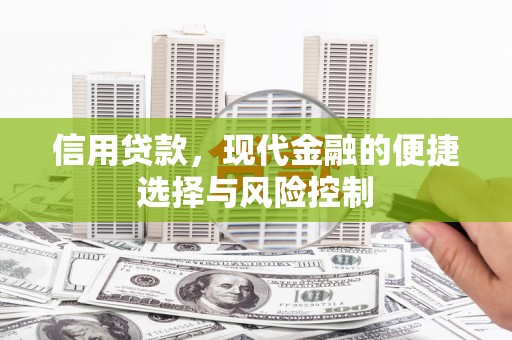 洪梅信用贷款，现代金融的便捷选择与风险控制