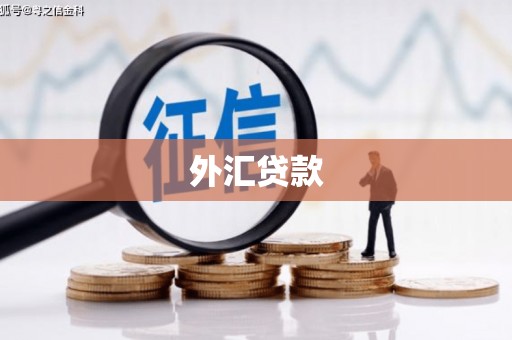洪梅外汇贷款