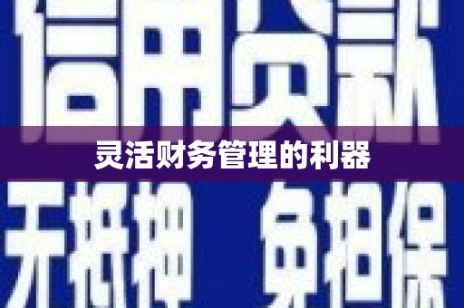 洪梅灵活财务管理的利器