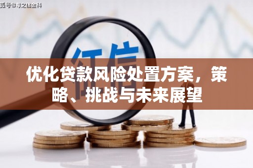 洪梅优化贷款风险处置方案，策略、挑战与未来展望