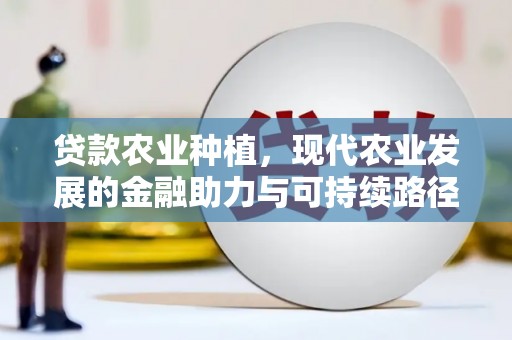 洪梅贷款农业种植，现代农业发展的金融助力与可持续路径