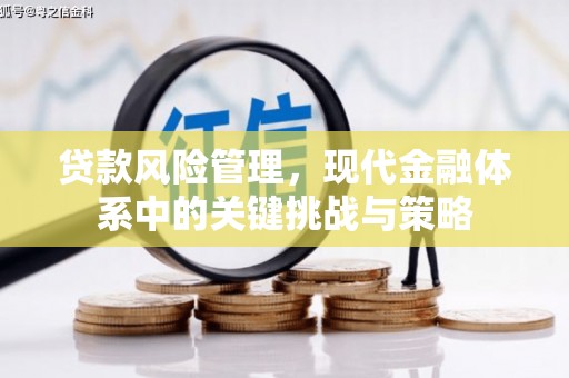 洪梅贷款风险管理，现代金融体系中的关键挑战与策略