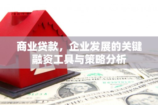 洪梅商业贷款，企业发展的关键融资工具与策略分析