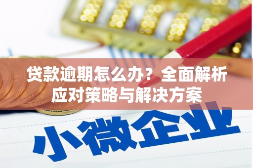 洪梅贷款逾期怎么办？全面解析应对策略与解决方案
