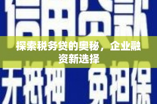 洪梅探索税务贷的奥秘，企业融资新选择