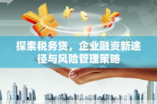 洪梅探索税务贷，企业融资新途径与风险管理策略