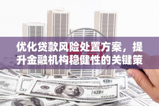 洪梅优化贷款风险处置方案，提升金融机构稳健性的关键策略