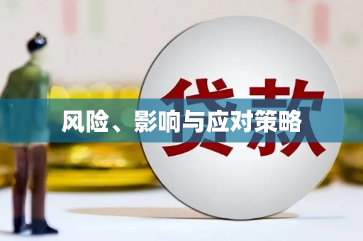 洪梅风险、影响与应对策略
