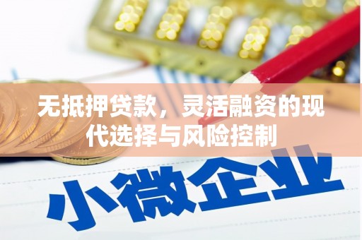 洪梅无抵押贷款，灵活融资的现代选择与风险控制