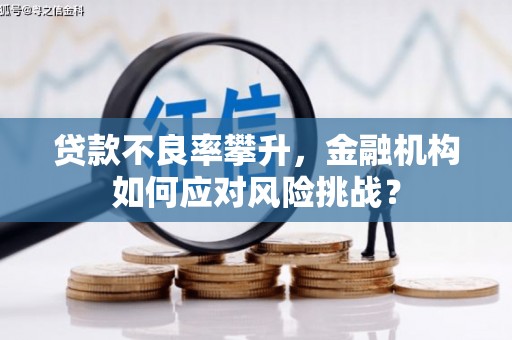 洪梅贷款不良率攀升，金融机构如何应对风险挑战？