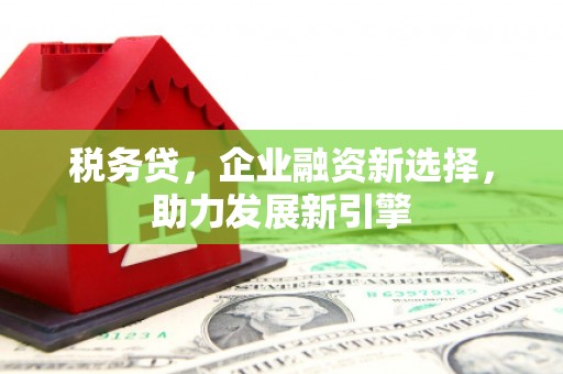 洪梅税务贷，企业融资新选择，助力发展新引擎