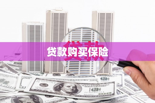 洪梅贷款购买保险