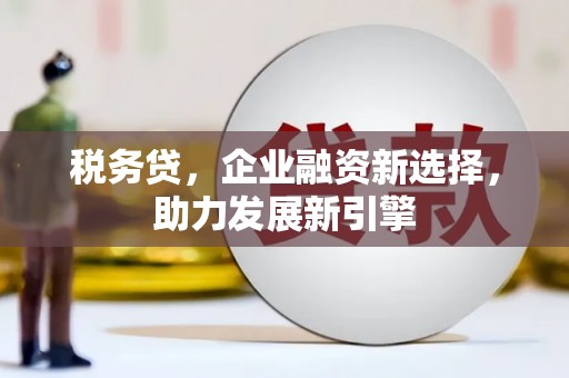 洪梅税务贷，企业融资新选择，助力发展新引擎