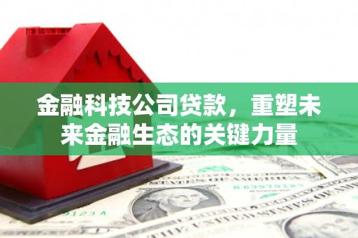 洪梅金融科技公司贷款，重塑未来金融生态的关键力量