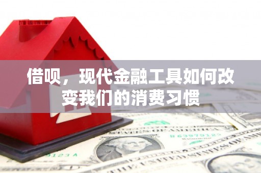 洪梅借呗，现代金融工具如何改变我们的消费习惯