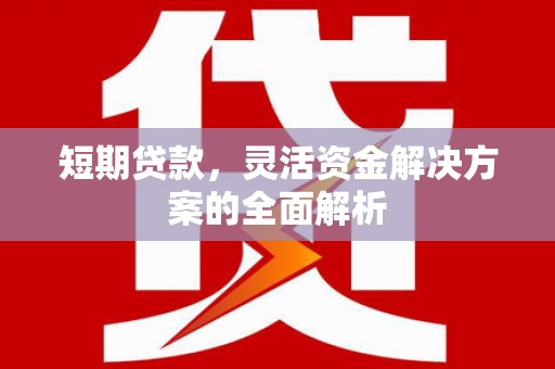 洪梅短期贷款，灵活资金解决方案的全面解析